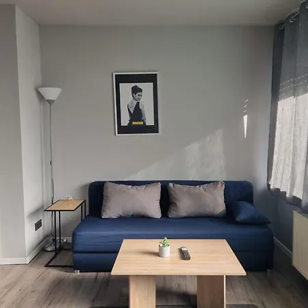 Gemuetliche Mit 1 Schlafzimmer, Wohnzimmer Mit Schlafcouch & Voll Ausgestattete Kueche